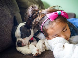 niños animales